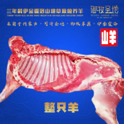 【2件起购】山羊40斤拍2件发整只羊内蒙古草原放散羊生鲜现切现切割牧场御牧圣地