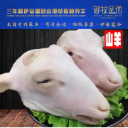 山羊头蹄肚心肝肠10斤内蒙古草原放散养生鲜羊肉现切割宰御牧圣地