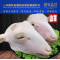 山羊头蹄肚心肝肠10斤内蒙古草原放散养生鲜羊肉现切割宰御牧圣地